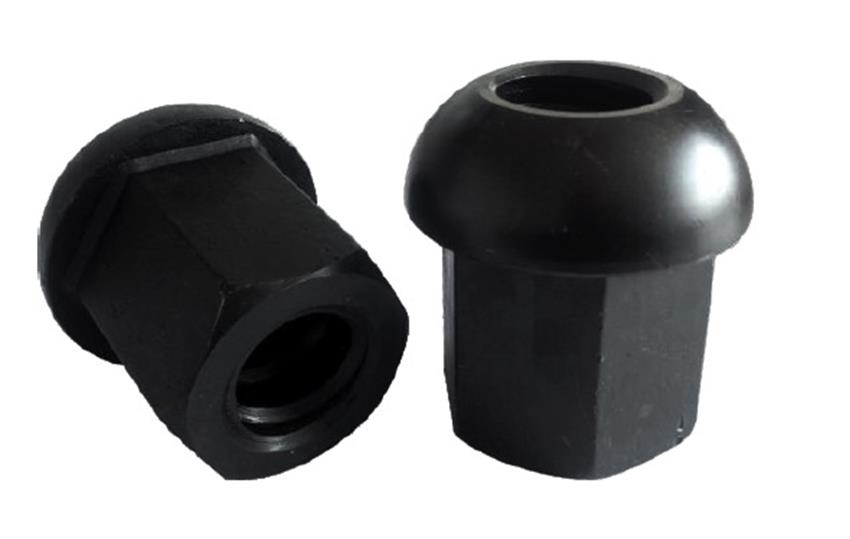 Domed NutĢ^ĸ.jpg